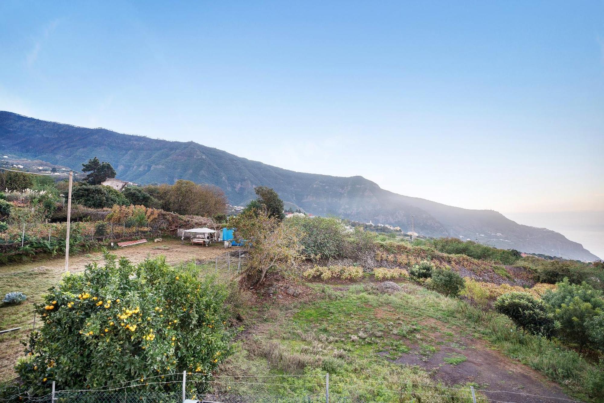 Casita Rural La Pinera Villa Los Realejos Buitenkant foto